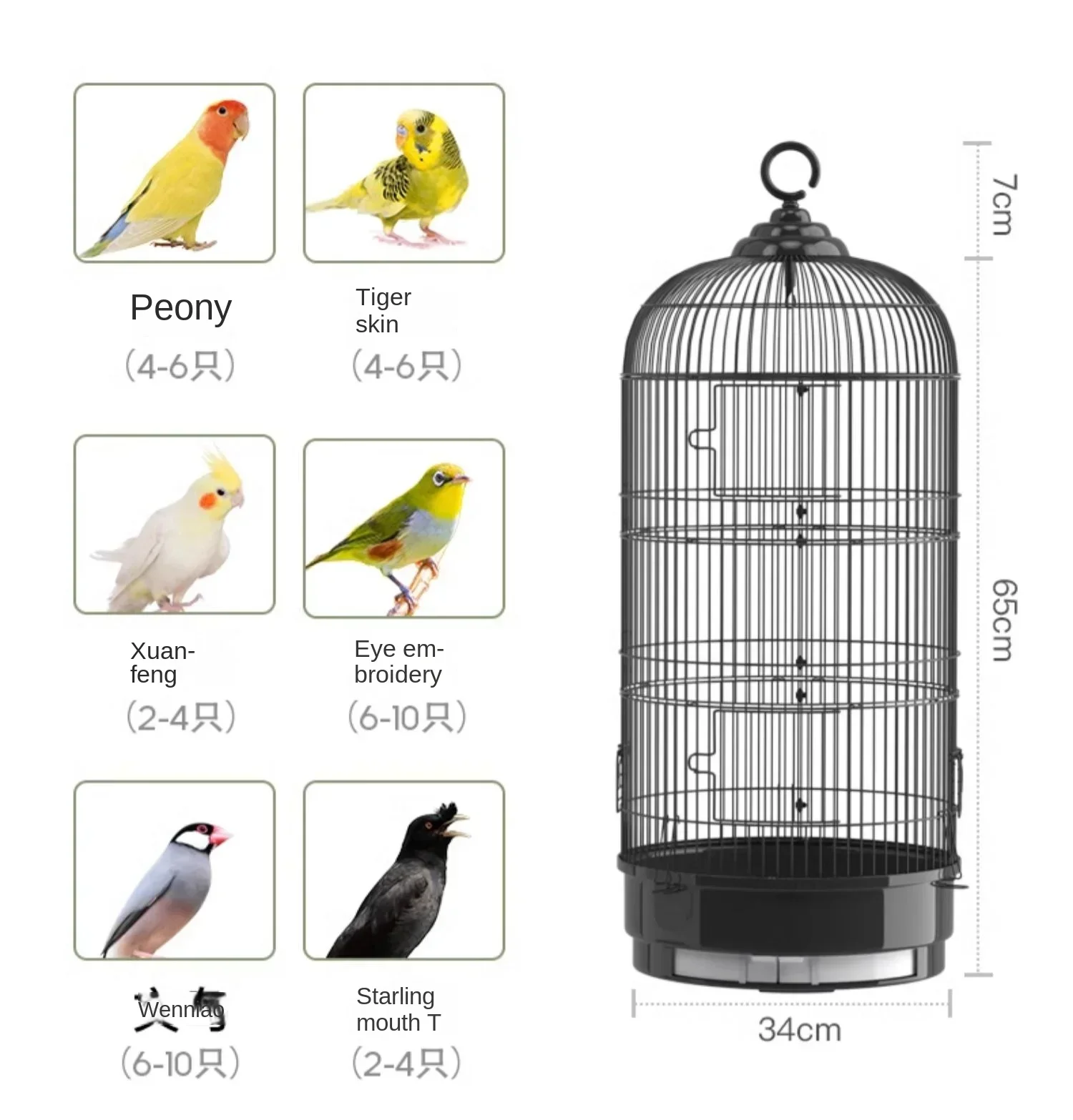 Клетка для птиц, клетка для попугаев, клетка для тигровых птиц, специальная большая круглая металлическая коллекционная клетка для фениксов
Клетка для птиц, клетка для попугаев, клетка для тигровых птиц, специальная большая круглая металлическая коллекционная клетка для фениксов