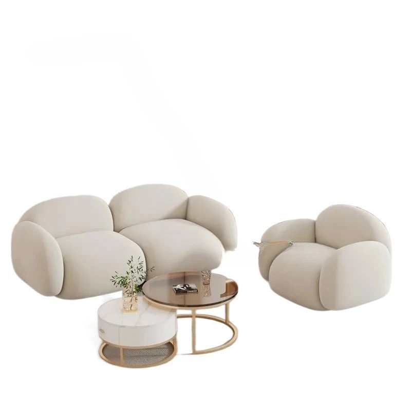 Technology cloth household small apartment sofa bedroom living room modern double reception fabric small l3y
Technology cloth household small apartment sofa bedroom living room modern double reception fabric small l3y