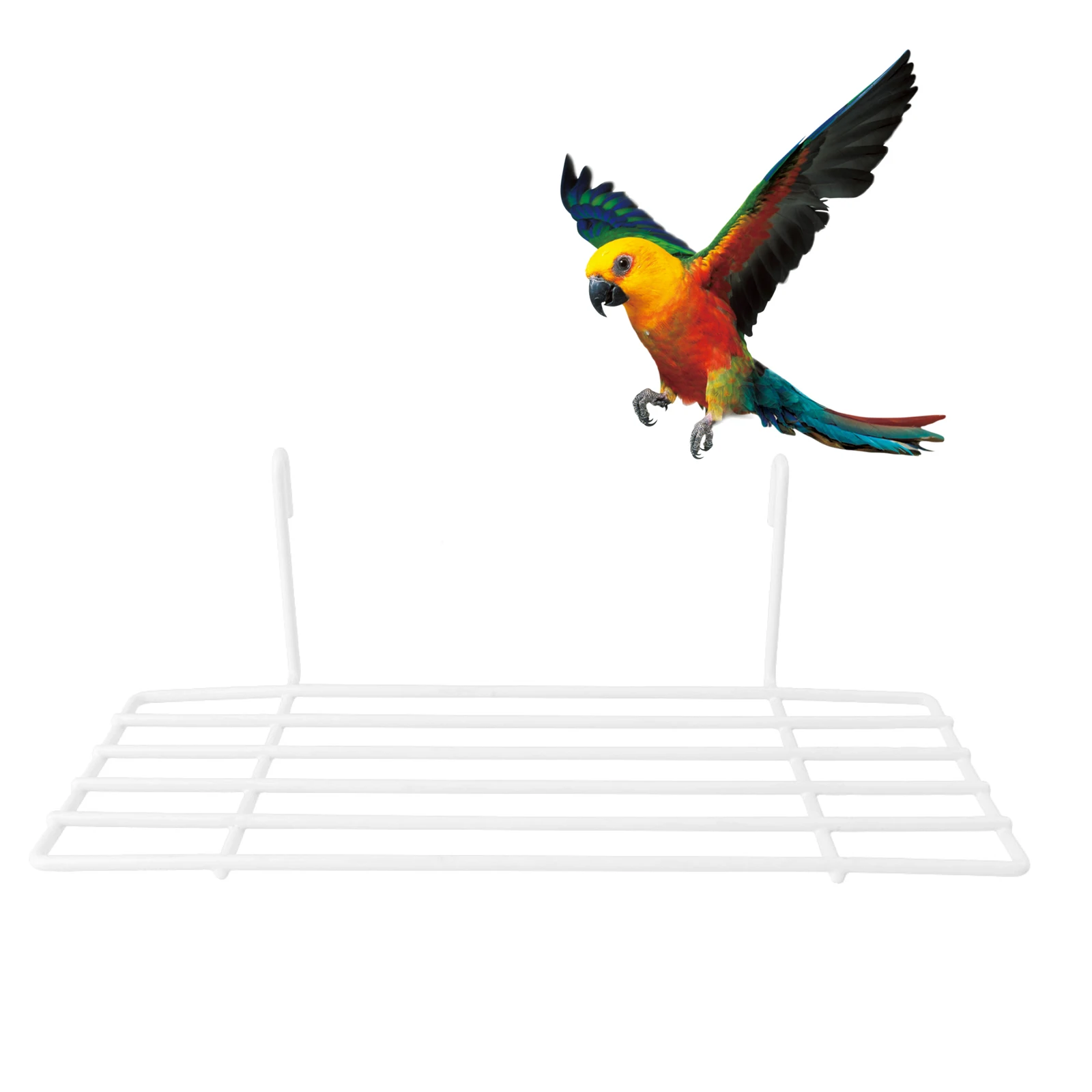Bird Perch Stand Iron Frame For Small Parrots Durable Cage Accessory Easy Install Hanging Playstand For Cockatiel Pet Bird Racks
Bird Perch Stand Iron Frame For Small Parrots Durable Cage Accessory Easy Install Hanging Playstand For Cockatiel Pet Bird Racks