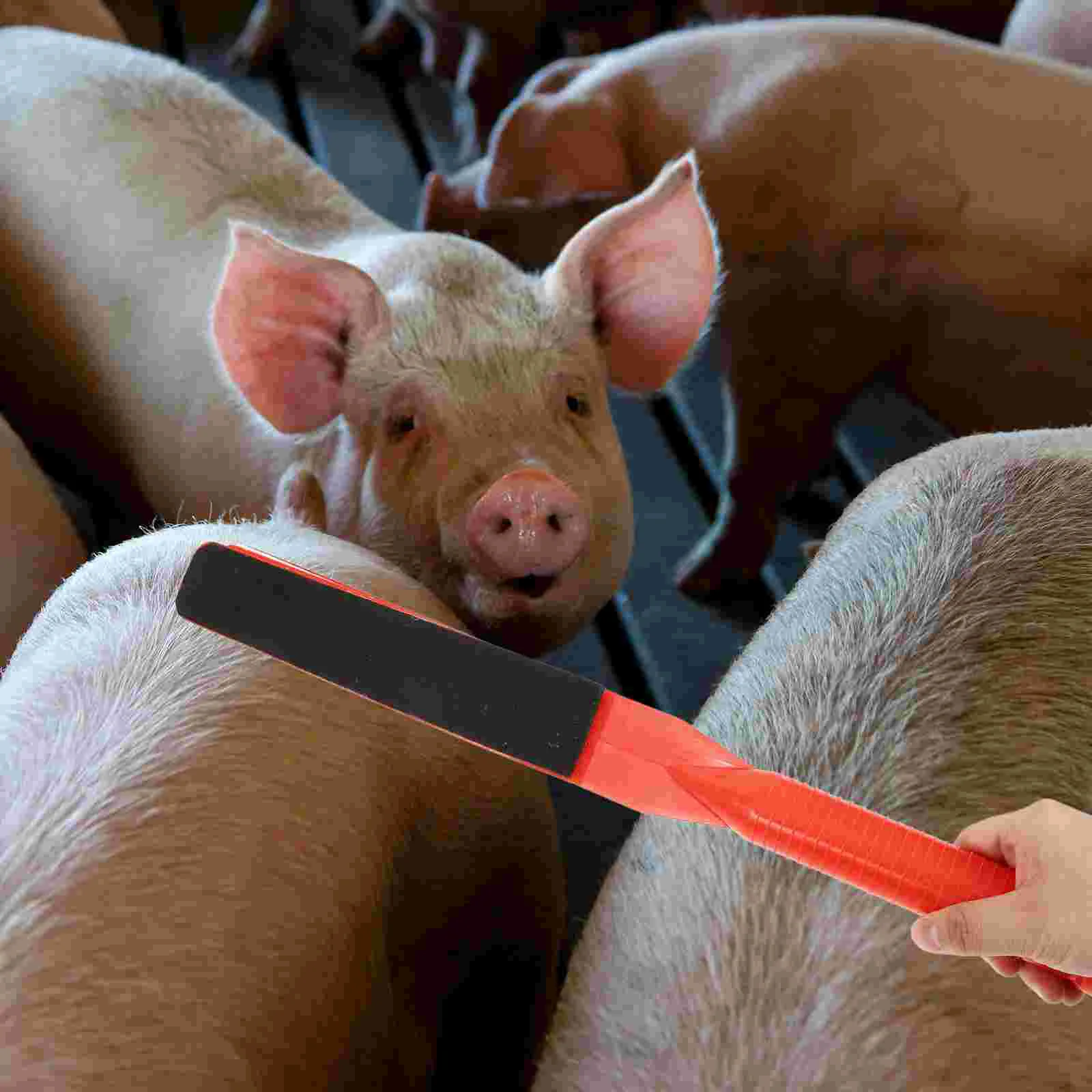 2 Pasture Livestock Paddles Lightweight PP Ergonomic Handle Gentle Animal Guidance Farm Use Wear Resistant Comfortable
2 Pasture Livestock Paddles Lightweight PP Ergonomic Handle Gentle Animal Guidance Farm Use Wear Resistant Comfortable