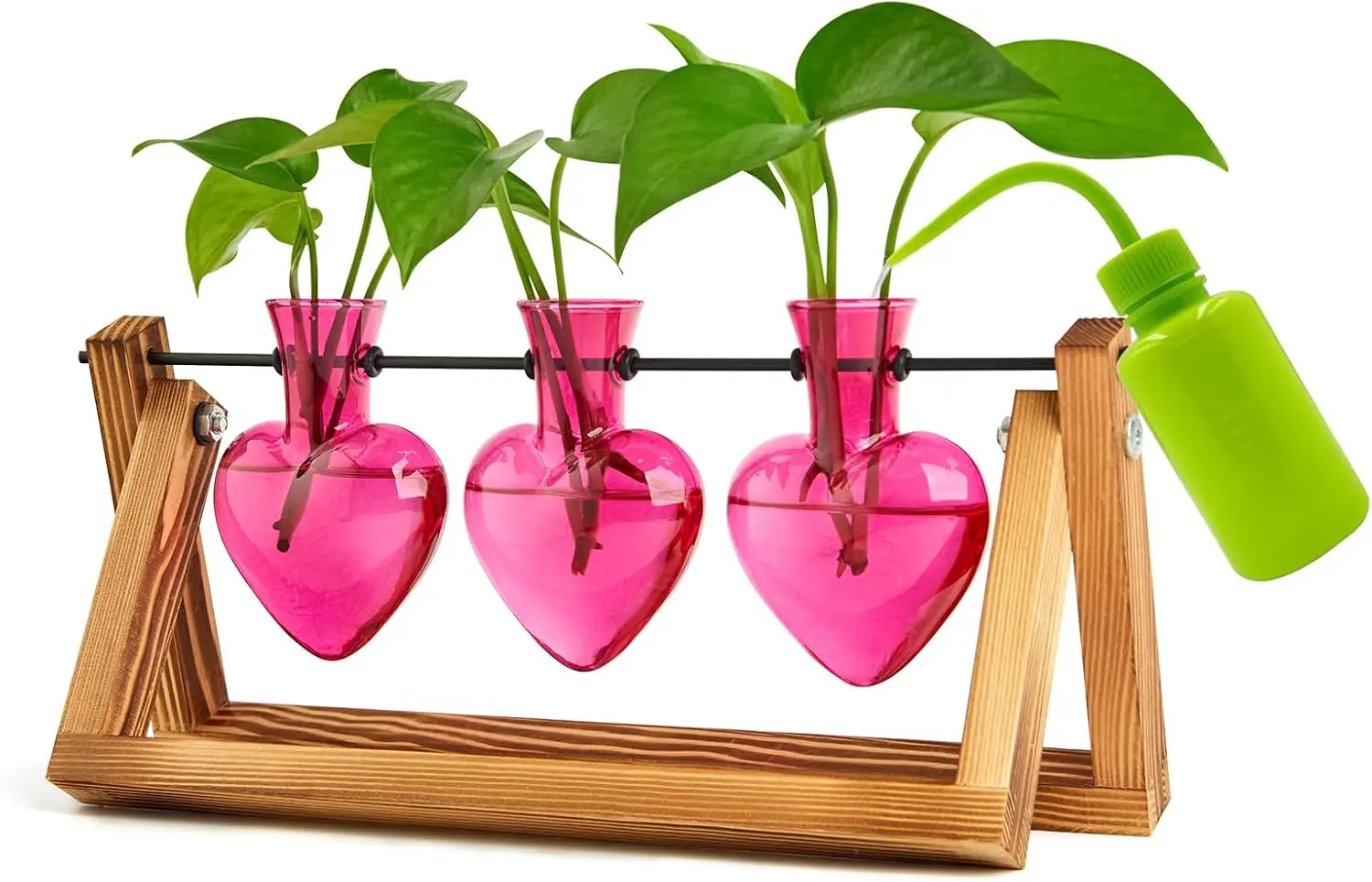 3 Heart-Shaped Vases Propagation Station for Women Plant Lovers Hydroponics Home Office Decor
3 Heart-Shaped Vases Propagation Station for Women Plant Lovers Hydroponics Home Office Decor
