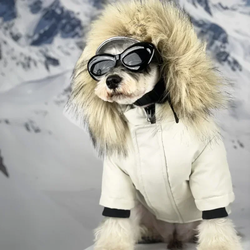 Fashion Dog Clothes for Small Dogs Winter Thickened Warm Dog Clothes Schnauzer Teddy Detachable Fur Collar Down Jacket PC2470
Fashion Dog Clothes for Small Dogs Winter Thickened Warm Dog Clothes Schnauzer Teddy Detachable Fur Collar Down Jacket PC2470