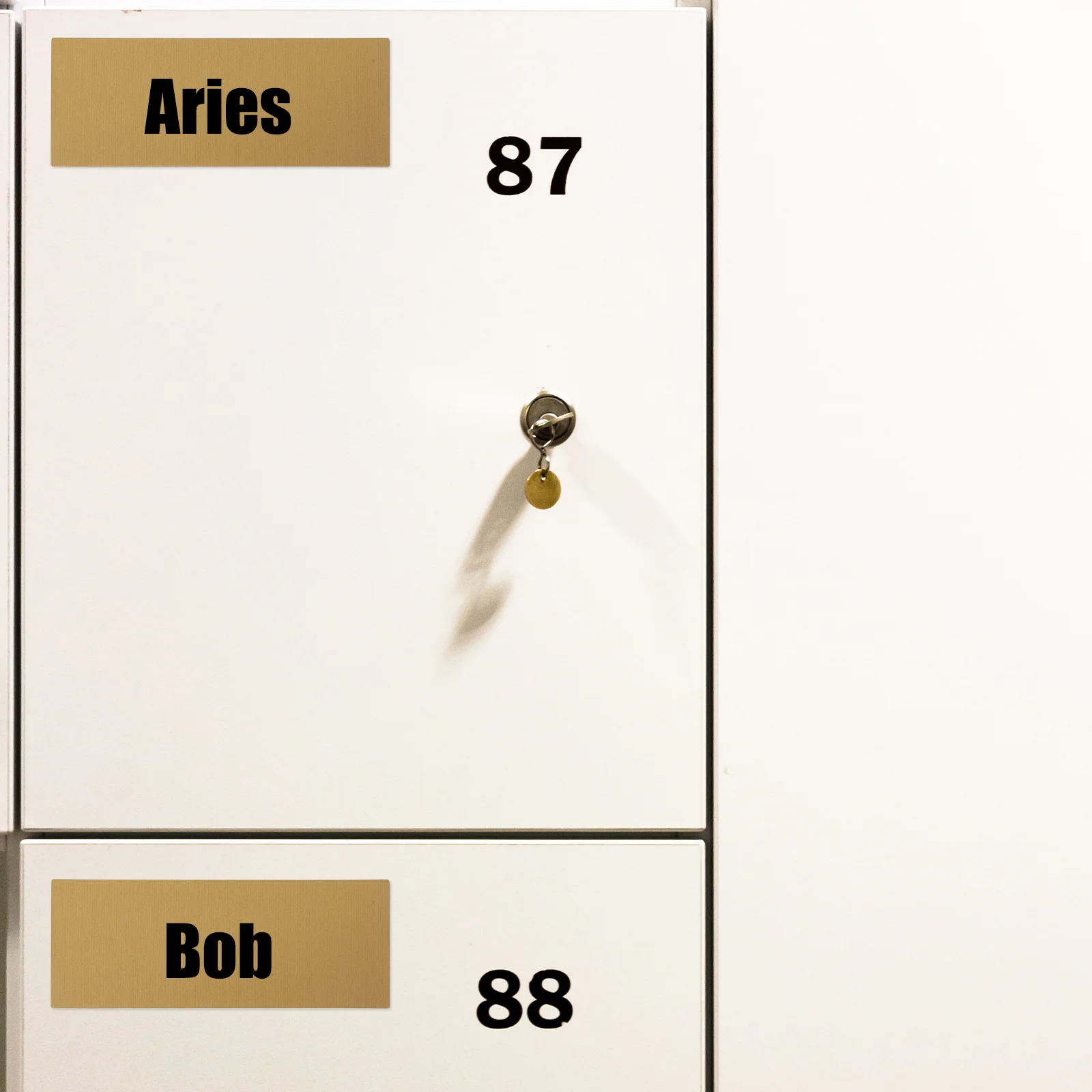 Скретч-этикетки, прямоугольные для игр для вечеринок своими руками, награды, классные мероприятия, набор наклеек, декор, папки, бирки
Скретч-этикетки, прямоугольные для игр для вечеринок своими руками, награды, классные мероприятия, набор наклеек, декор, папки, бирки