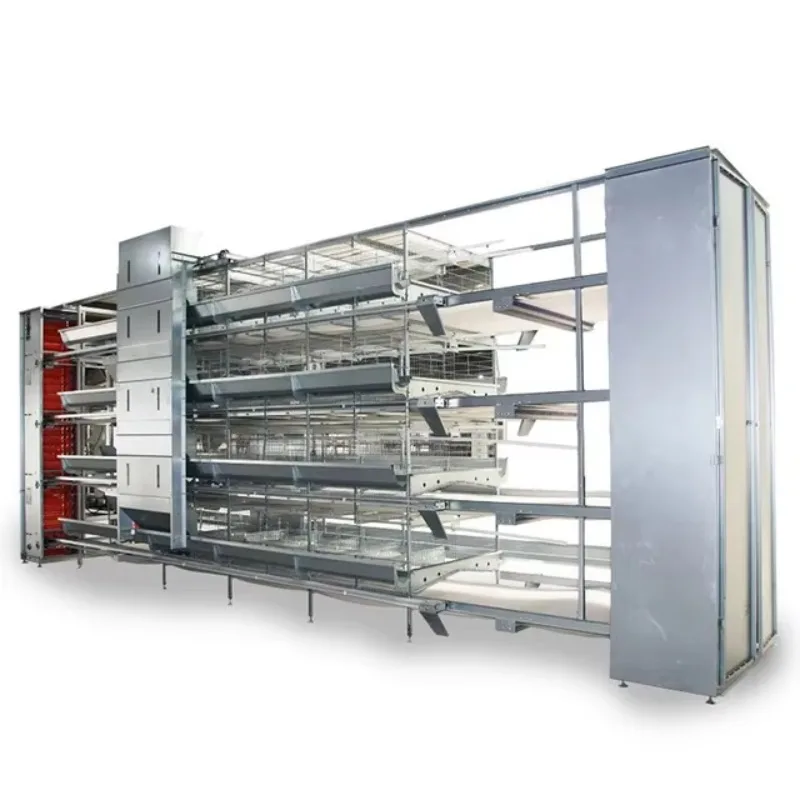 Automatic Chicken Cage Chicken Battery Cages Poultry Farm Customizable Poultry Battery Cages
Automatic Chicken Cage Chicken Battery Cages Poultry Farm Customizable Poultry Battery Cages