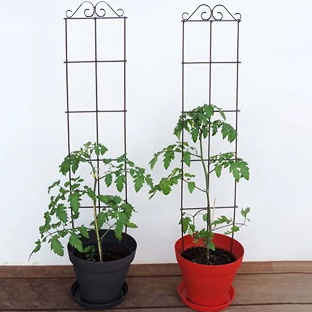 2Pcs Natural Style Metal Plant Climbing Trellis Sturdy Deformation Resistant Plant Support Rack for Orchids Vines Potted Plants
2Pcs Natural Style Metal Plant Climbing Trellis Sturdy Deformation Resistant Plant Support Rack for Orchids Vines Potted Plants