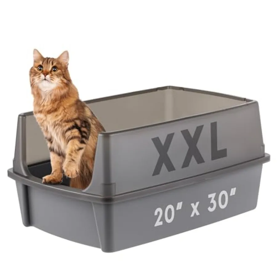 Cat Litter Box XX- Open Top with High Sided Walls Tall Scatter Shield Scoop Included Easy Clean Plastic Pan for Big Cats Kitten
Cat Litter Box XX- Open Top with High Sided Walls Tall Scatter Shield Scoop Included Easy Clean Plastic Pan for Big Cats Kitten