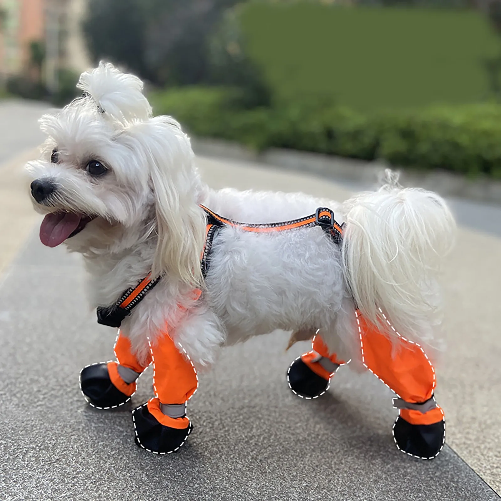 Водонепроницаемые ботинки для собак с ремешками, светоотражающие противоскользящие ботинки для питомцев, регулируемая защитная обувь для маленьких собак-девочек
Водонепроницаемые ботинки для собак с ремешками, светоотражающие противоскользящие ботинки для питомцев, регулируемая защитная обувь для маленьких собак-девочек