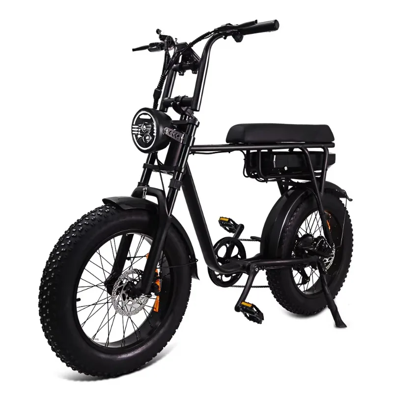 Tourwheel retro urban mountain bike electric mtb bike tires ebike elektrische
Tourwheel retro urban mountain bike electric mtb bike tires ebike elektrische