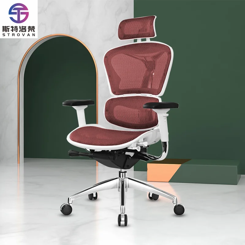 Antique Office Furniture Set Wooden Sofa Model with Lift Chair & Mesh Chair Modern Design & Stylish Desk Chair
Antique Office Furniture Set Wooden Sofa Model with Lift Chair & Mesh Chair Modern Design & Stylish Desk Chair