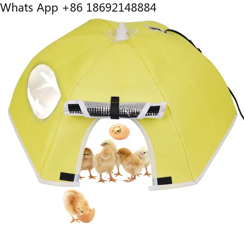 Chicken Thermal Insulation Umbrella for Brooding Brooder Incubator with Intelligent Temperature Control and Automatic Heating
Chicken Thermal Insulation Umbrella for Brooding Brooder Incubator with Intelligent Temperature Control and Automatic Heating