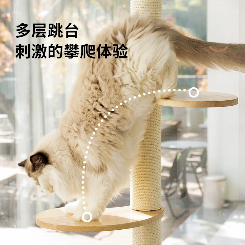 UXPET excellent small wall cat climbing frame hanging wall solid wood jumping platform cat wall suction cup free of punching
UXPET excellent small wall cat climbing frame hanging wall solid wood jumping platform cat wall suction cup free of punching