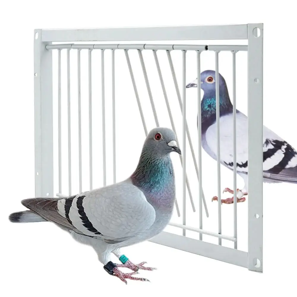 Metal Wire Bars Frame 30/40x26cm Pigeon Loft Door Removable Trapping Pigeon Entrance Door Single Entrance Trap Door Pigeon House
Metal Wire Bars Frame 30/40x26cm Pigeon Loft Door Removable Trapping Pigeon Entrance Door Single Entrance Trap Door Pigeon House