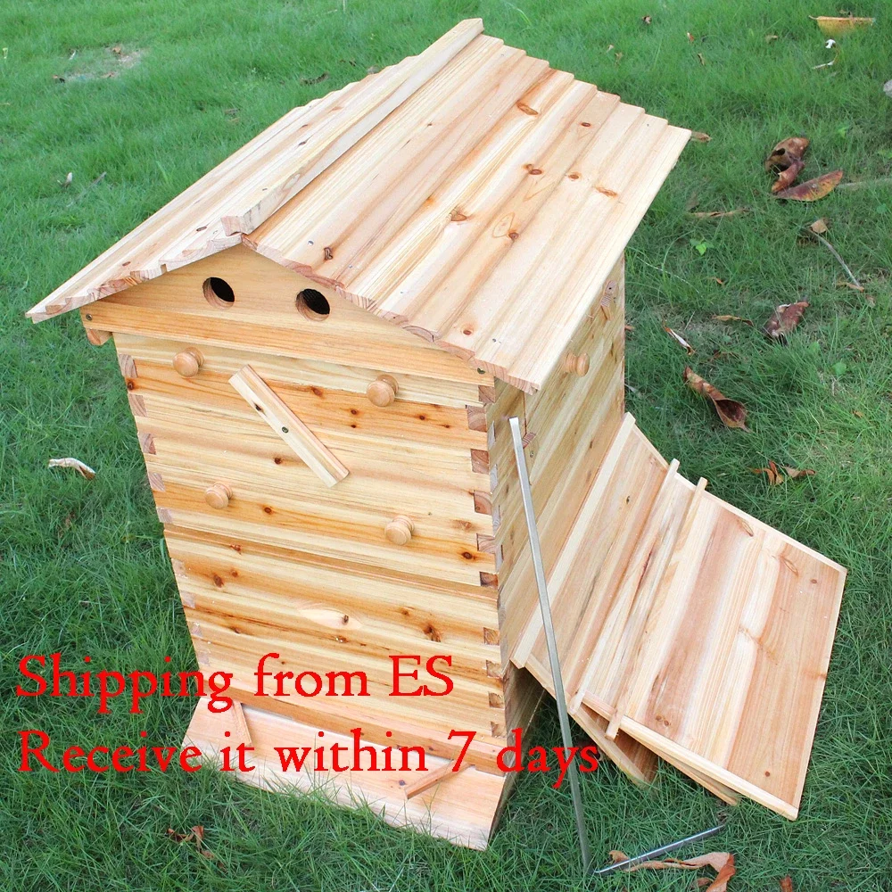 House Bees Box with 7pcs Nest Beekeeping Equipment Beekeeper Tool for Bee Hive Supply German Warehouse Deliver
House Bees Box with 7pcs Nest Beekeeping Equipment Beekeeper Tool for Bee Hive Supply German Warehouse Deliver