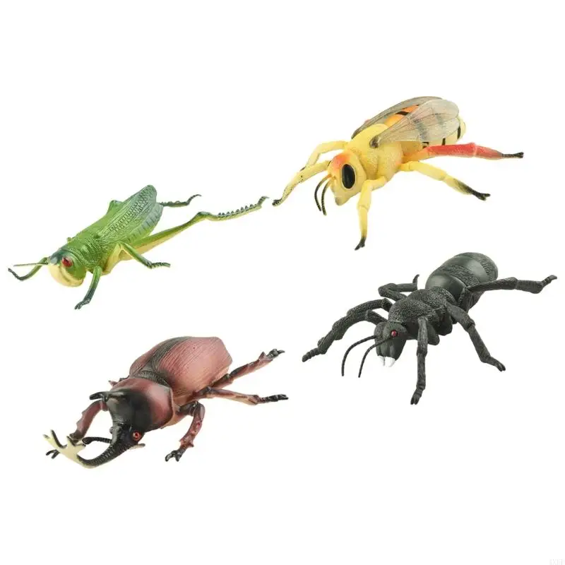 Pack of 4 Insect Animal Figurine Toy for Children Outdoor Play and Classroom Learning Activity Nature Education Toy
Pack of 4 Insect Animal Figurine Toy for Children Outdoor Play and Classroom Learning Activity Nature Education Toy
