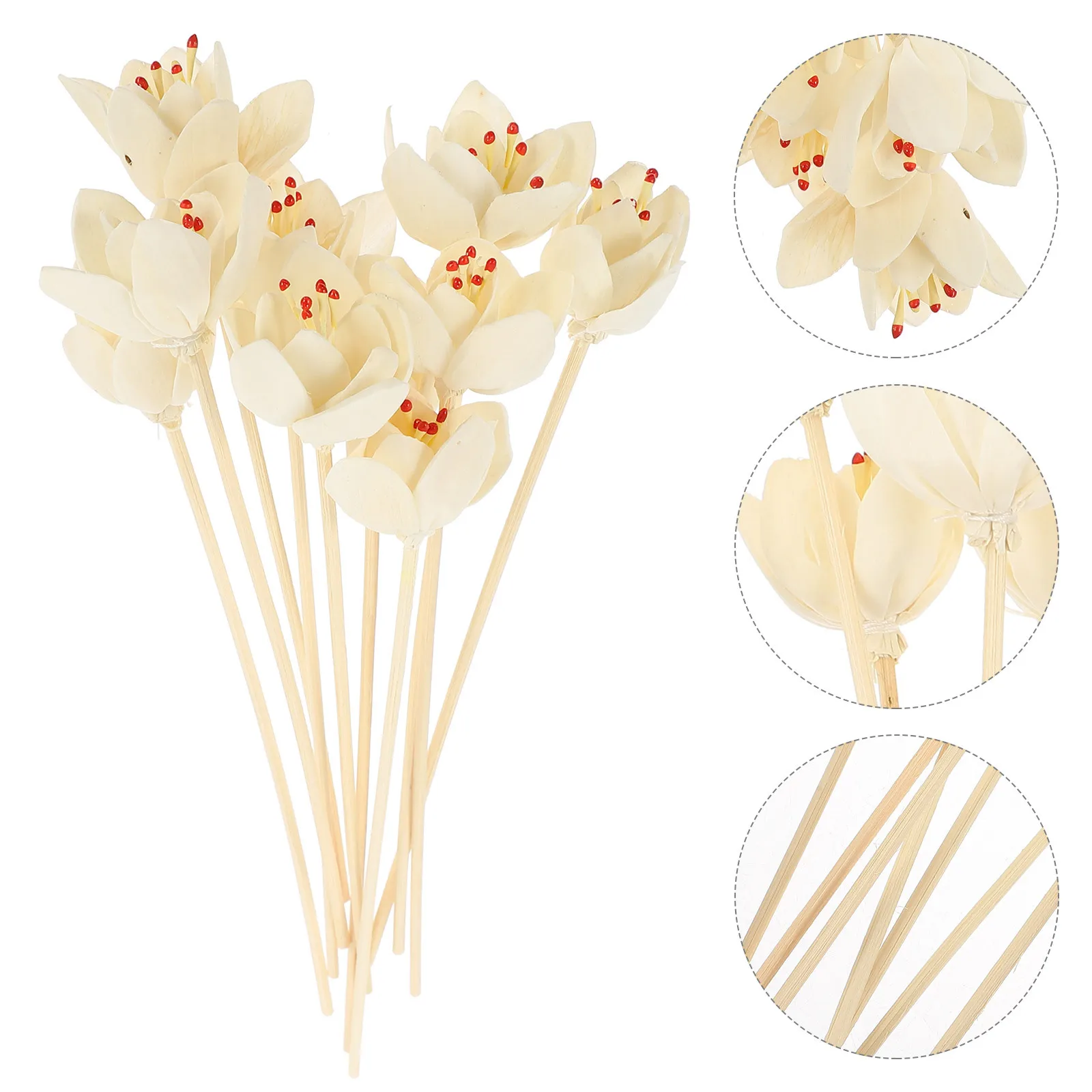 10Pcs Flower Essential Oil Diffuser Sticks Reed Aroma Bottle Inserts Home Room Fragrance Decoration Diffuser Sticks
10Pcs Flower Essential Oil Diffuser Sticks Reed Aroma Bottle Inserts Home Room Fragrance Decoration Diffuser Sticks