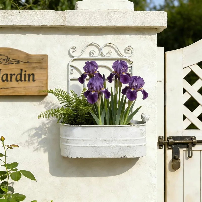 Sendeyuan wrought iron wall hanging flower pot garden storage and finishing home decoration European retro wall flower ware wall
Sendeyuan wrought iron wall hanging flower pot garden storage and finishing home decoration European retro wall flower ware wall