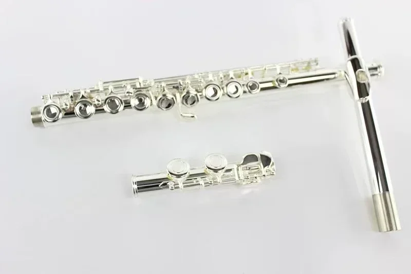 2025 Intermediate Flute Open Hole C Footjoint Sterling Silver Plated Bright Tone for Students
2025 Intermediate Flute Open Hole C Footjoint Sterling Silver Plated Bright Tone for Students