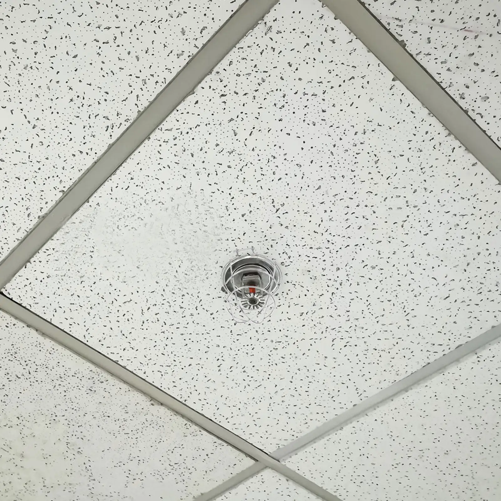 Fire Sprinkler Head Protector Cap Iron Cage Cover Easy Installation Adjustable Support Guard for Residential Commercial Fire
Fire Sprinkler Head Protector Cap Iron Cage Cover Easy Installation Adjustable Support Guard for Residential Commercial Fire