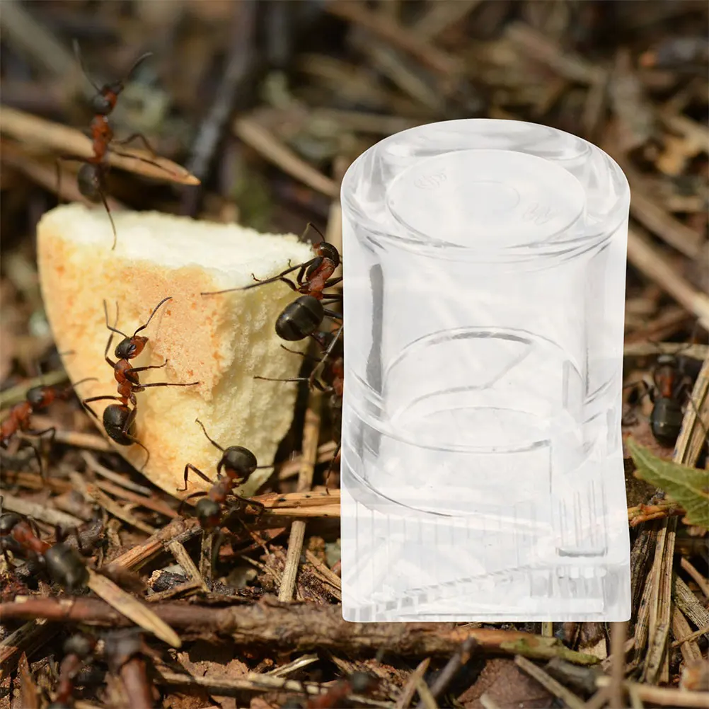 2 Pcs Pet Water Feeder Lizard Drinking Dispenser Transparent Acrylic Reptile Dish
2 Pcs Pet Water Feeder Lizard Drinking Dispenser Transparent Acrylic Reptile Dish