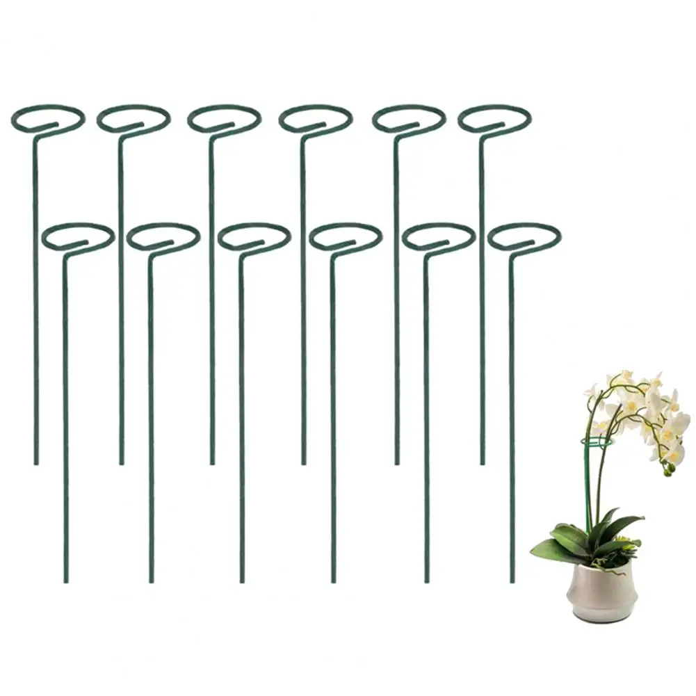 12Pcs Plant Support Stakes Metal Plant Rings Garden Stakes Single Stem Flower Support Stake Garden Accessories
12Pcs Plant Support Stakes Metal Plant Rings Garden Stakes Single Stem Flower Support Stake Garden Accessories