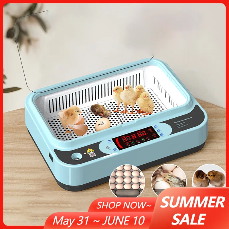 6 Eggs Incubator Digital Poultry Hatcher Machine with Fully Automatic Turning Temperature Control Incubator Brooder for Home
6 Eggs Incubator Digital Poultry Hatcher Machine with Fully Automatic Turning Temperature Control Incubator Brooder for Home