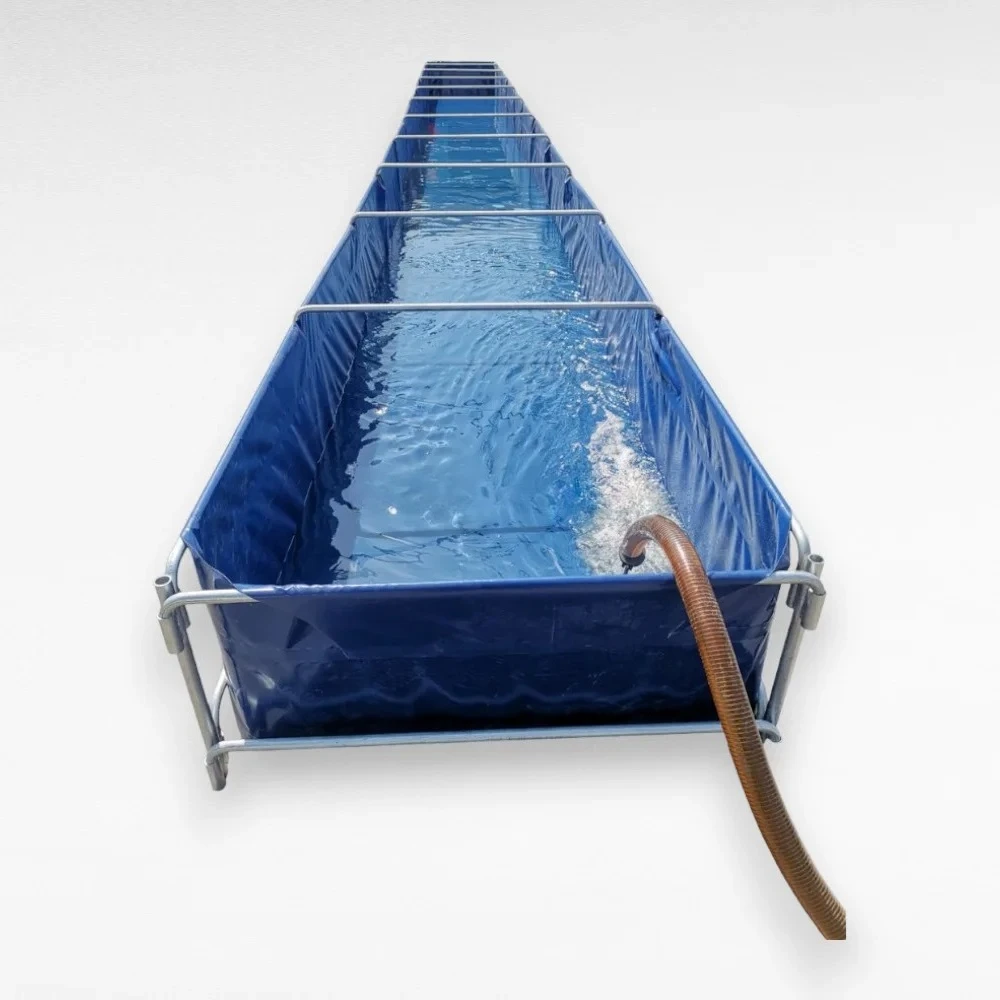 Customized size Professional Aquaculture PVC Fish Tank Durable Square Plastic Fishing & Farming Pool for Aquarium Fish Breeding
Customized size Professional Aquaculture PVC Fish Tank Durable Square Plastic Fishing & Farming Pool for Aquarium Fish Breeding