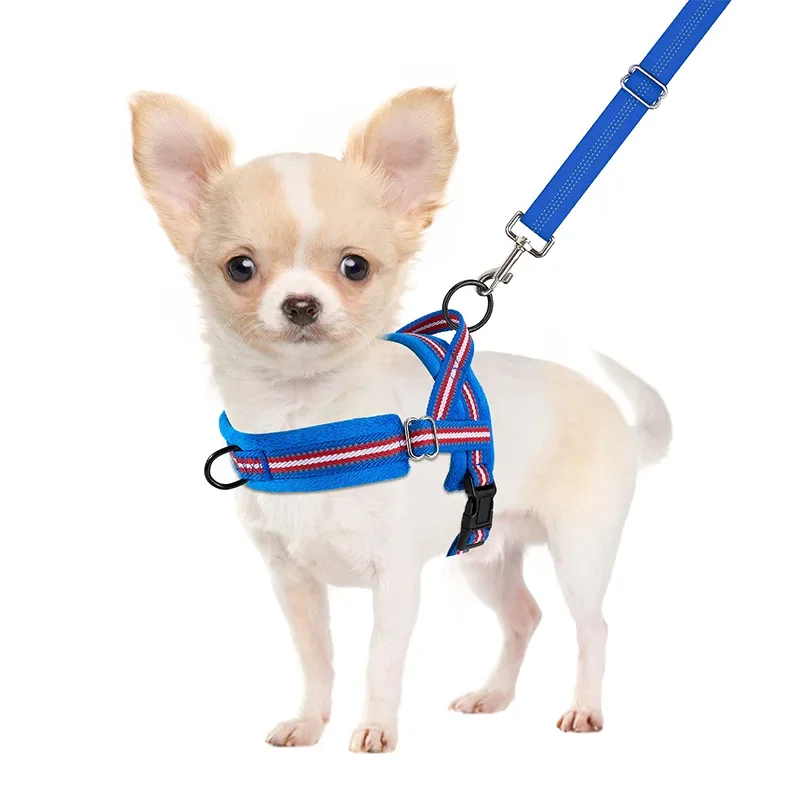 Leather Teddy Bichon Dog Leash Vest Style Chest Harness Large Size Pet Supply for Small Dogs with Collar Type
Leather Teddy Bichon Dog Leash Vest Style Chest Harness Large Size Pet Supply for Small Dogs with Collar Type
