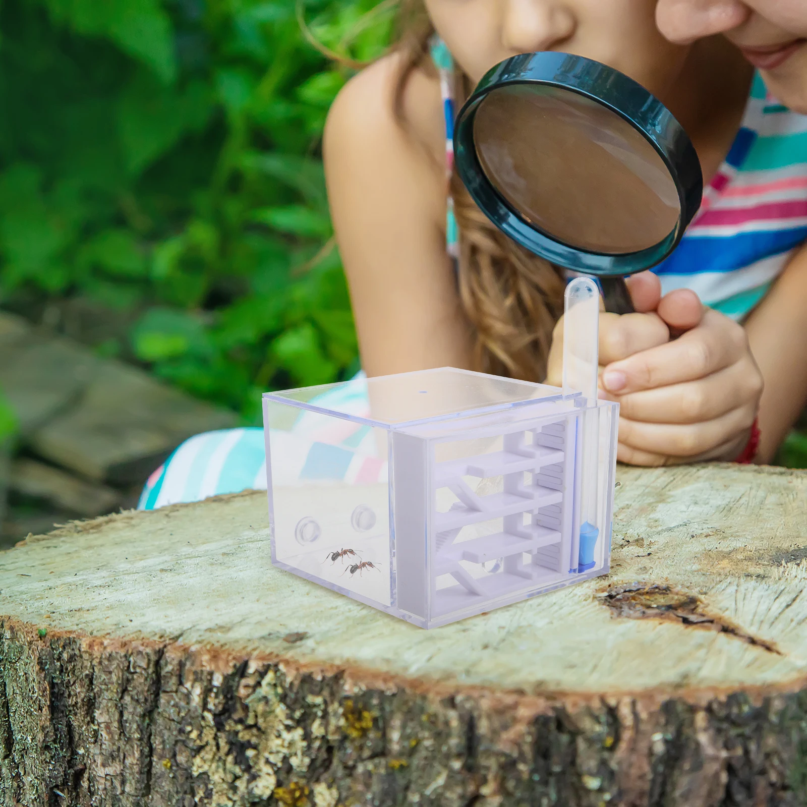 Ant Castle Habitat Observation Kits for Students Station Nest Farm Can Be Raised Educational Ants
Ant Castle Habitat Observation Kits for Students Station Nest Farm Can Be Raised Educational Ants