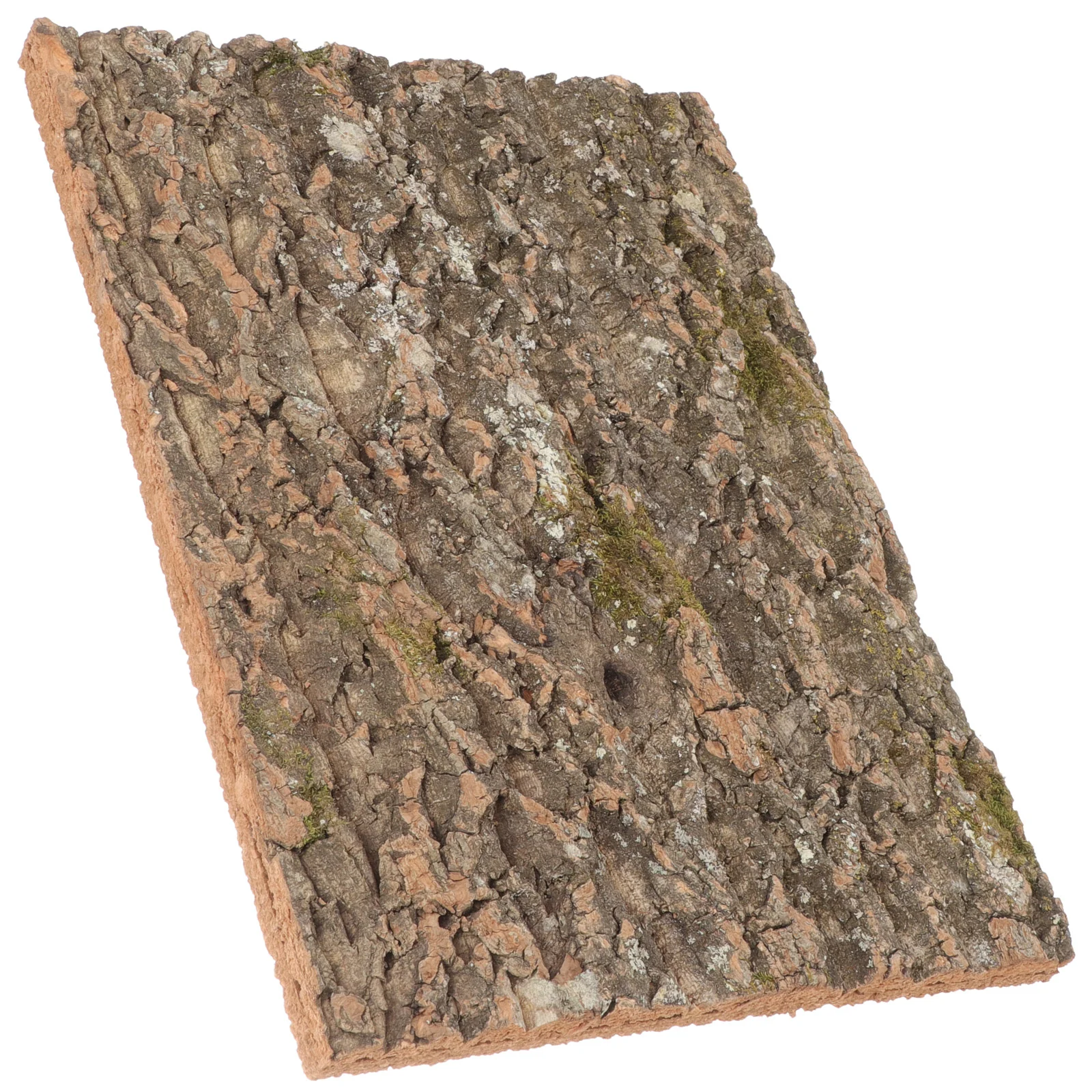 Reptile Tank Accessories Climbing Decor Bark Terrarium Leopard Gecko Costume Cork for Reptiles Animals
Reptile Tank Accessories Climbing Decor Bark Terrarium Leopard Gecko Costume Cork for Reptiles Animals