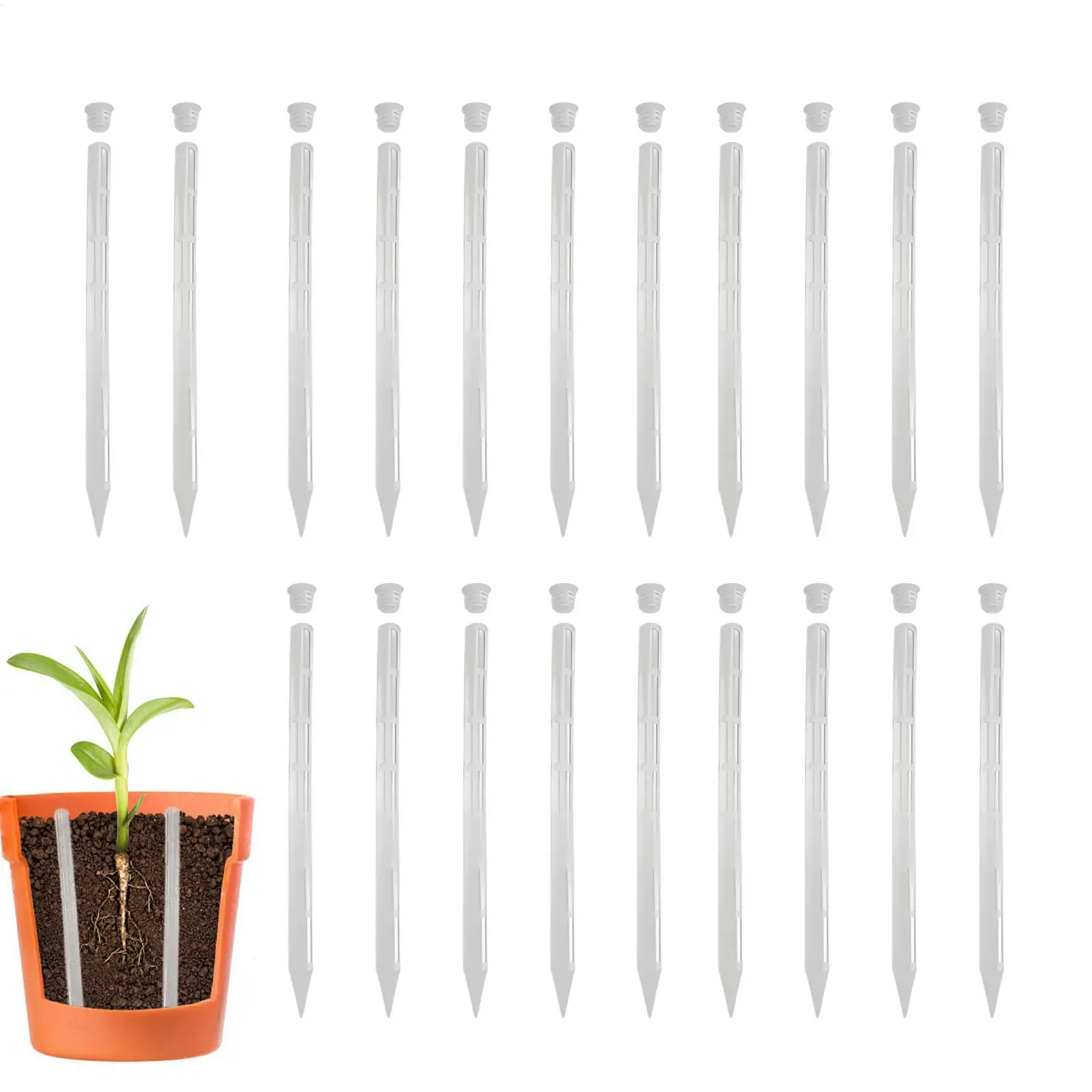Plant Aeration Sticks 20-Piece Set 9.8 Inch Soil Ventilation Spikes to Prevent Overwatering for Potted Plants Outdoor Gardening
Plant Aeration Sticks 20-Piece Set 9.8 Inch Soil Ventilation Spikes to Prevent Overwatering for Potted Plants Outdoor Gardening