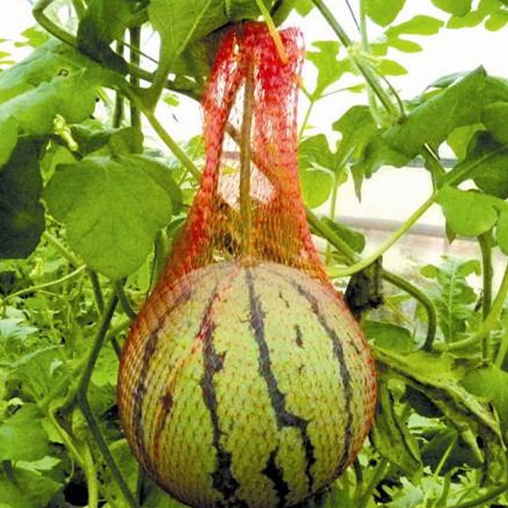 100Pcs Red Mesh Net Bag 35cm Vegetable Fruit Outdoor Portable Shopping Storage Carrying Pouch Net Bag Shopping
100Pcs Red Mesh Net Bag 35cm Vegetable Fruit Outdoor Portable Shopping Storage Carrying Pouch Net Bag Shopping
