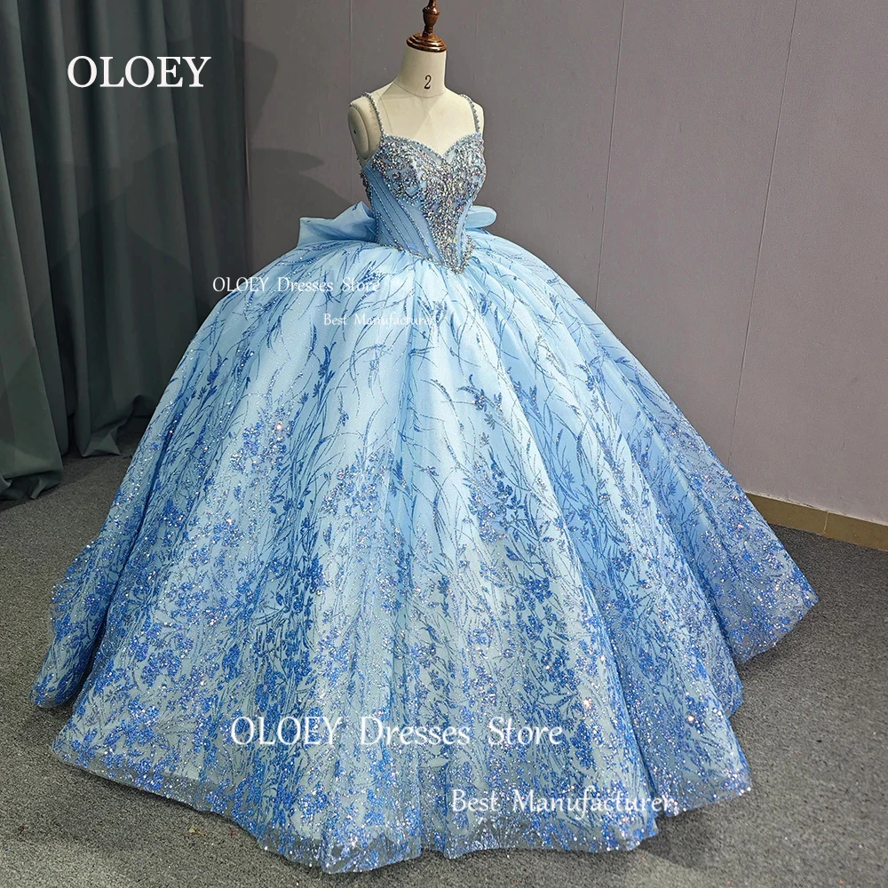 OLOEY Classic Glitter Blue 15 17 Quinceanera Dress Wedding Dress Sweetheart Silky Tulle Gorgeous Beading Ball Gown Birthday
OLOEY Classic Glitter Blue 15 17 Quinceanera Dress Wedding Dress Sweetheart Silky Tulle Gorgeous Beading Ball Gown Birthday