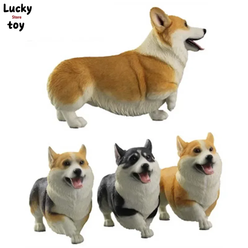 Mnotht 1/6 Wandering Corgi Model Toys 16.5X5X10.5 cm Pet Model For 12in Action Figure Toys l30 Collection Model Hobbies
Mnotht 1/6 Wandering Corgi Model Toys 16.5X5X10.5 cm Pet Model For 12in Action Figure Toys l30 Collection Model Hobbies