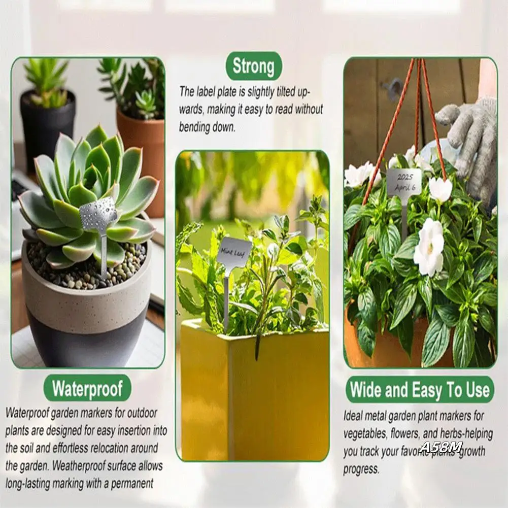 10Pcs Stainless Steel T-Type Plantshrub Nursery Garden Writable Labels Pot Name Tags For Gardening
10Pcs Stainless Steel T-Type Plantshrub Nursery Garden Writable Labels Pot Name Tags For Gardening
