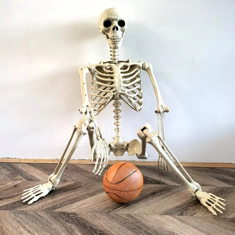 Halloween Atmosphere Skeleton Plastic Skeleton Haunted House Decoration Escape Room Simulation Skeleton Atmosphere Ornament
Halloween Atmosphere Skeleton Plastic Skeleton Haunted House Decoration Escape Room Simulation Skeleton Atmosphere Ornament