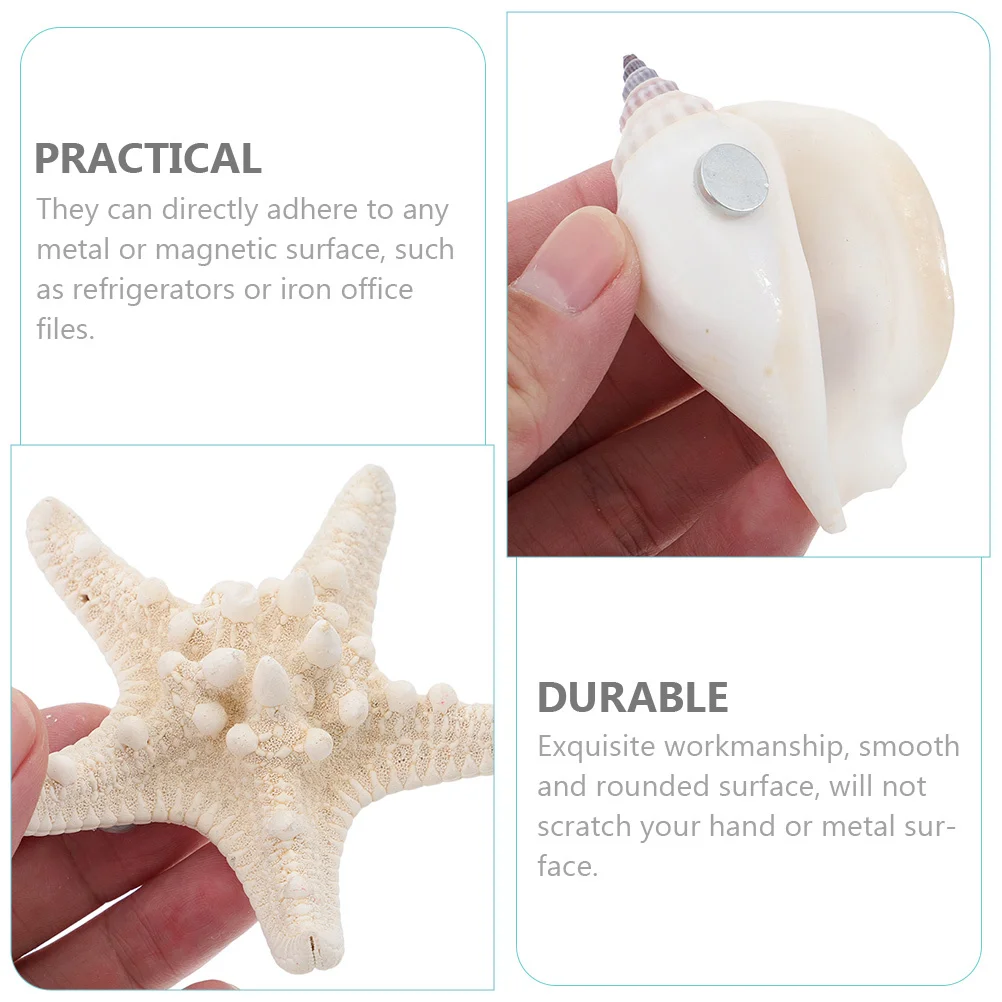 10pcs Seashell Ocean Fridge Magnets 3D Refrigerator Decor For Kitchen Office Magnetic Surfaces Shell Shape Magnet Accessories
10pcs Seashell Ocean Fridge Magnets 3D Refrigerator Decor For Kitchen Office Magnetic Surfaces Shell Shape Magnet Accessories