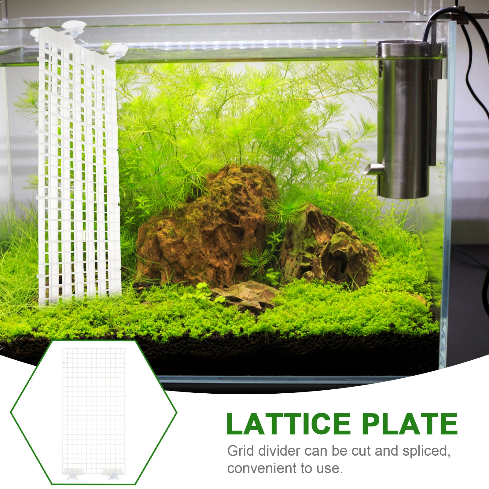 Isolation Board Grating Small Fish Tank with Divider Decorate Betta Aquarium Aqurium Isolate
Isolation Board Grating Small Fish Tank with Divider Decorate Betta Aquarium Aqurium Isolate