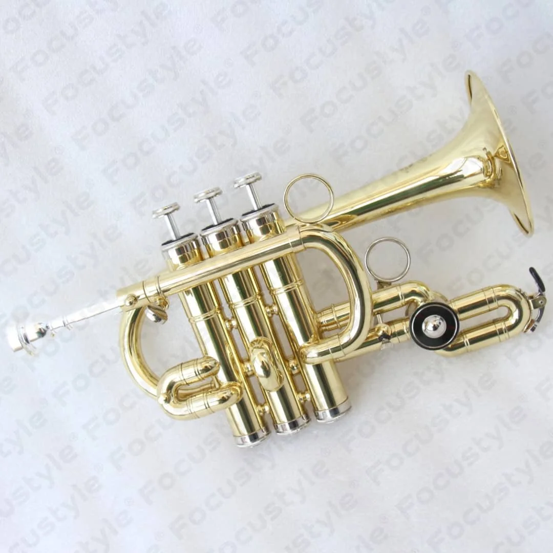 Famous Style Clear Lacquer Trumpet With Rotary Valve Brass Trumpets Cupronickel Slides Piccolo Trumpet
Famous Style Clear Lacquer Trumpet With Rotary Valve Brass Trumpets Cupronickel Slides Piccolo Trumpet