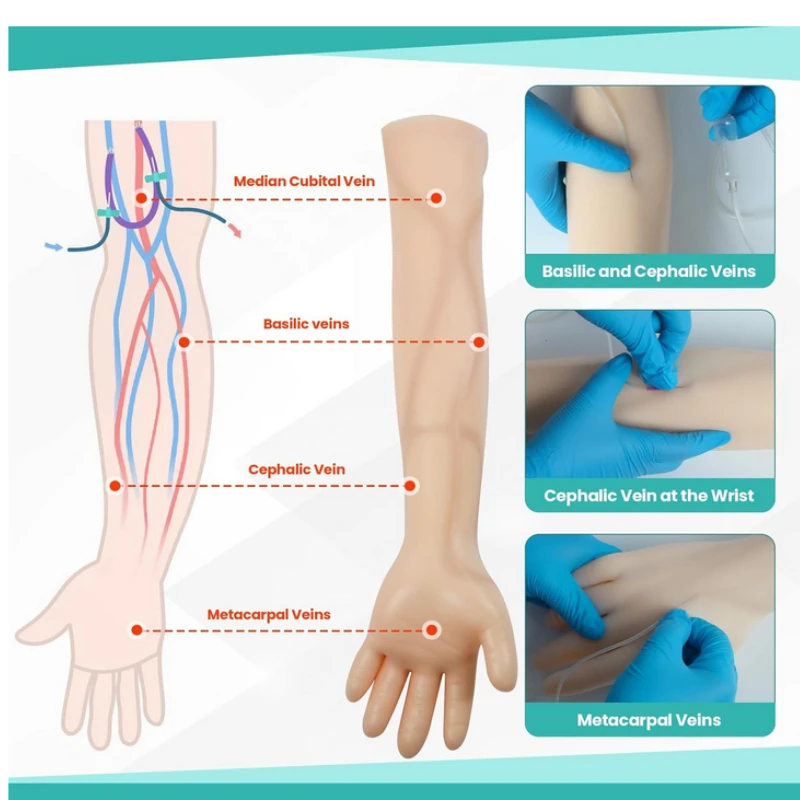 Intravenous Puncture Arm Set With Infusion Stand Vein Incision Injection Practice Arm VC Latex Arm for Medical Students Nurse
Intravenous Puncture Arm Set With Infusion Stand Vein Incision Injection Practice Arm VC Latex Arm for Medical Students Nurse