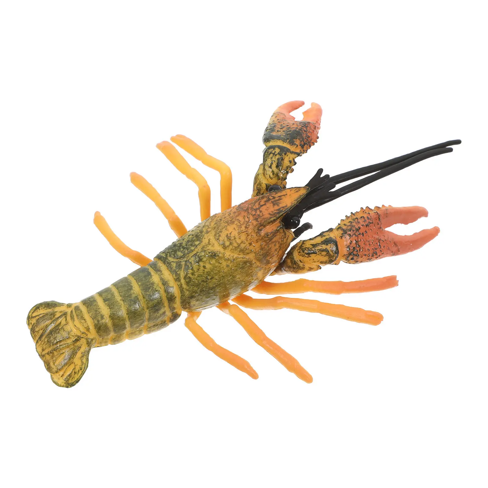 Реалистичная имитация омара: Декоративная фигурка для обучения и демонстрации, имитирующая живого омара
Реалистичная имитация омара: Декоративная фигурка для обучения и демонстрации, имитирующая живого омара