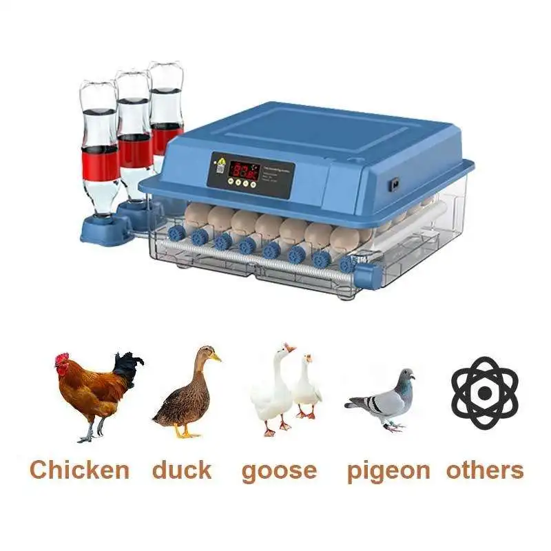 Fully Automatic 6-392 Egg Incubator New Condition Quail Goose Duck Chicken Egg Hatching Machine for Home Use Factory Direct
Fully Automatic 6-392 Egg Incubator New Condition Quail Goose Duck Chicken Egg Hatching Machine for Home Use Factory Direct