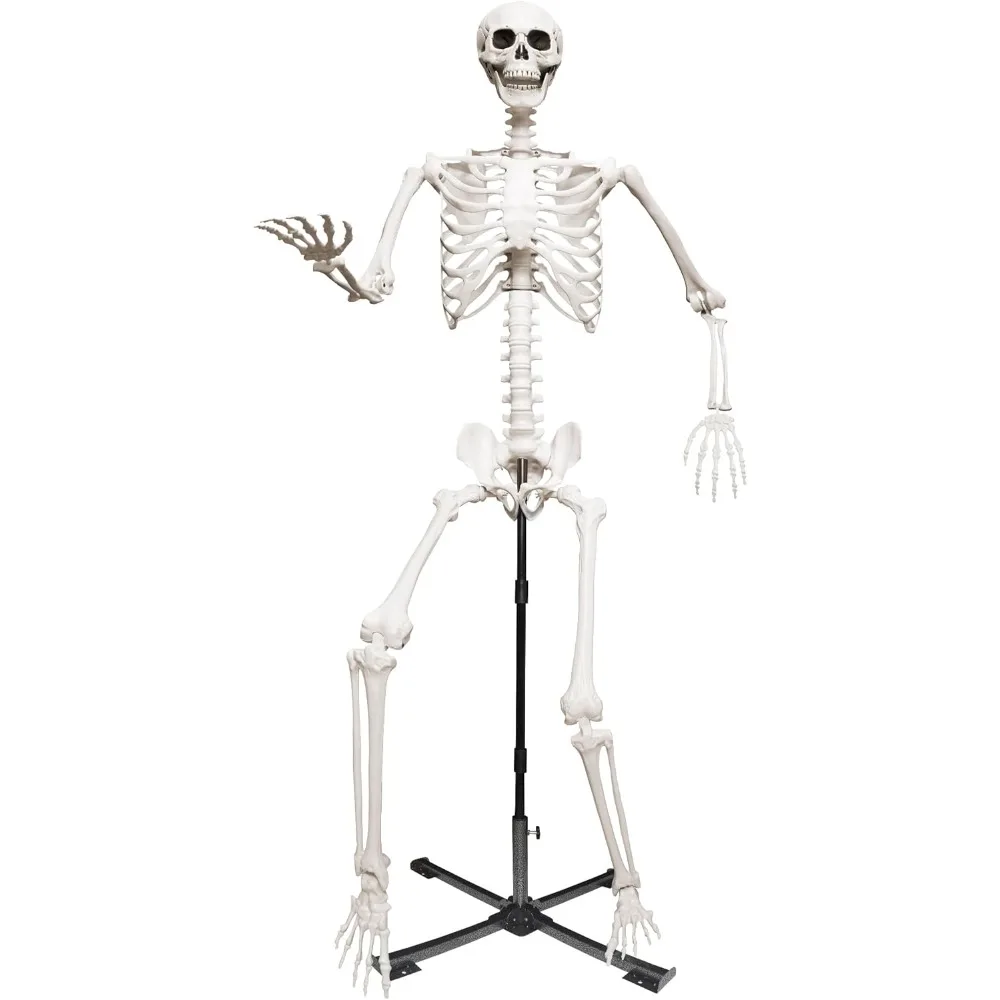 Гигантский скелет длиной 7,9 фута/240 см, скелет в натуральную величину с металлической регулируемой подставкой для уличных украшений для Хэллоуина (серый)
Гигантский скелет длиной 7,9 фута/240 см, скелет в натуральную величину с металлической регулируемой подставкой для уличных украшений для Хэллоуина (серый)