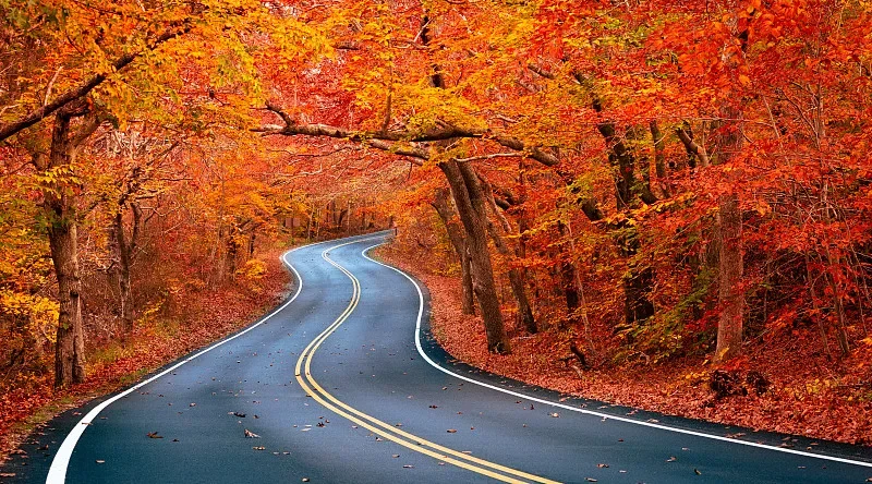 Mini FPV DVR Module - Video Audio Recorder, Built-in Battery, NTSC/PAL for FPV Racing Drone, RC Car & Quadcopter
Mini FPV DVR Module - Video Audio Recorder, Built-in Battery, NTSC/PAL for FPV Racing Drone, RC Car & Quadcopter