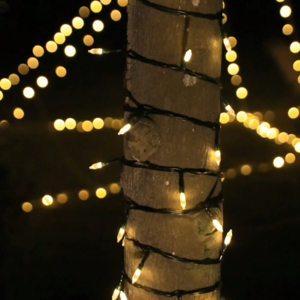 Разноцветные сказочные елочные огни, водонепроницаемые светодиодные гирлянды из зеленой проволоки, гирлянды на батарейках, новогодняя вечеринка
Разноцветные сказочные елочные огни, водонепроницаемые светодиодные гирлянды из зеленой проволоки, гирлянды на батарейках, новогодняя вечеринка