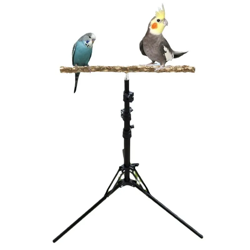 Adjustable Natural Pepper Wood Parrot Stand Perch Training Play Stand Outdoor Grinding Beak Climbing Rack for Small Medium Birds
Adjustable Natural Pepper Wood Parrot Stand Perch Training Play Stand Outdoor Grinding Beak Climbing Rack for Small Medium Birds