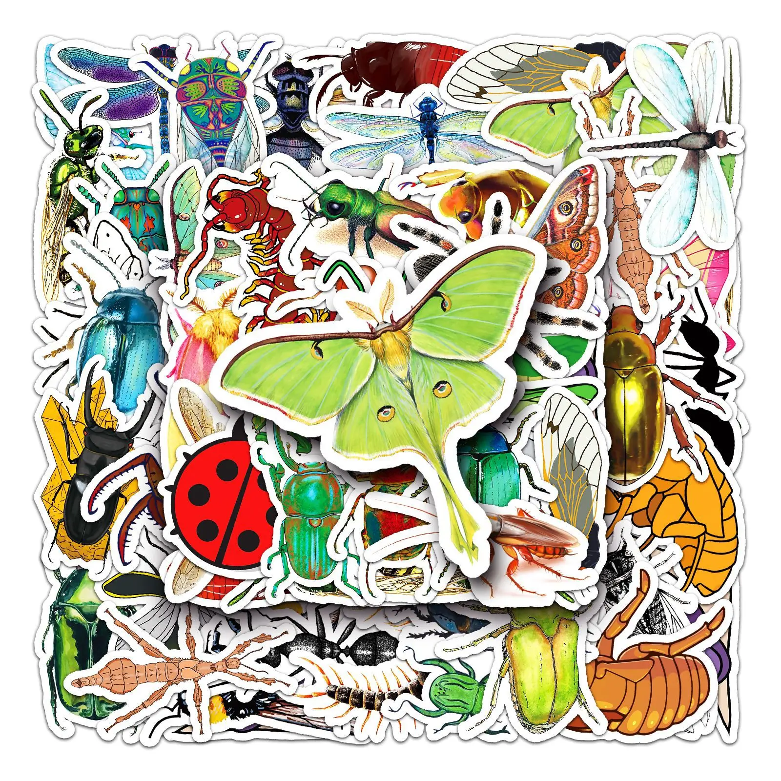 10/50PCS Insect Doodle Cartoon Dragonfly DIY Decorative Skateboard Cell Box Sticker Waterproof Sticker Kids Toy
10/50PCS Insect Doodle Cartoon Dragonfly DIY Decorative Skateboard Cell Box Sticker Waterproof Sticker Kids Toy
