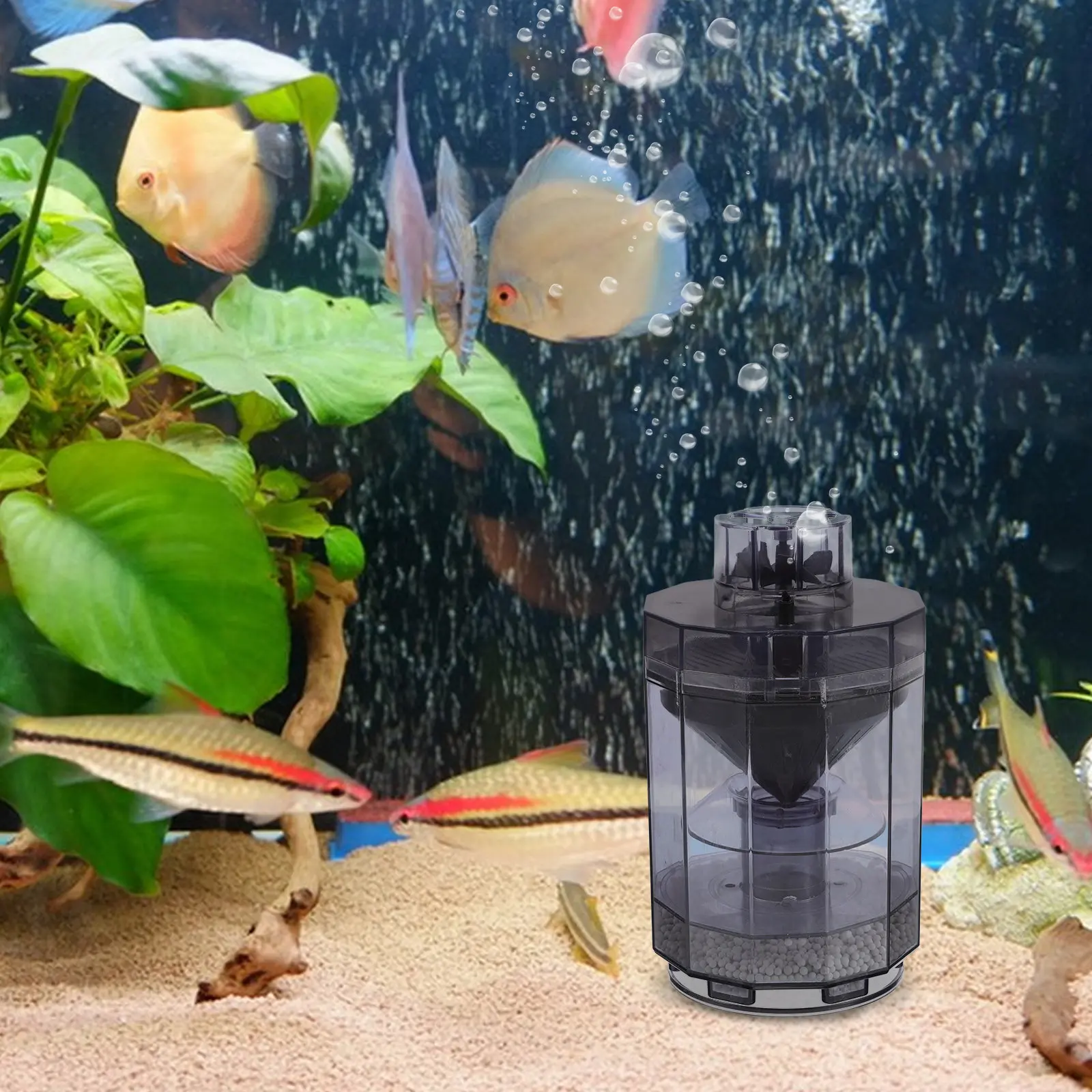 Fish Tank Filter Automatic Cleaning Suction Cleaner Aquarium Waste Collector Odor Prevention Oxygen Enrichment Fish Poop Cleaner
Fish Tank Filter Automatic Cleaning Suction Cleaner Aquarium Waste Collector Odor Prevention Oxygen Enrichment Fish Poop Cleaner