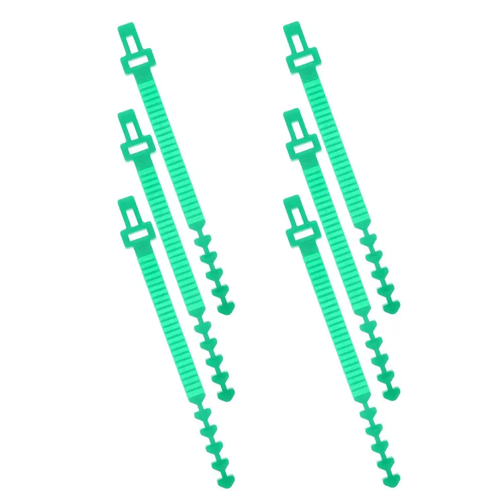 6pcs Heavy Duty Garden Plant Support Straps for Trees Shrubs Climbing Plants Tree Staking Adjustable Strap Accessories
6pcs Heavy Duty Garden Plant Support Straps for Trees Shrubs Climbing Plants Tree Staking Adjustable Strap Accessories