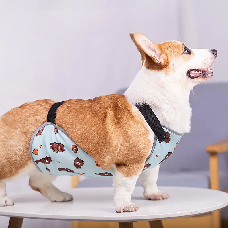 Dog Belly Pocket Korji Dog Belly Protection Clothes Waterproof Warm Bucket Raincoat Pet Waterproof Dog bib
Dog Belly Pocket Korji Dog Belly Protection Clothes Waterproof Warm Bucket Raincoat Pet Waterproof Dog bib