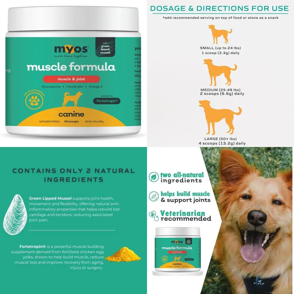 Muscle & Joint Support with Green Lipped Mussel Extract (198g)
Muscle & Joint Support with Green Lipped Mussel Extract (198g)